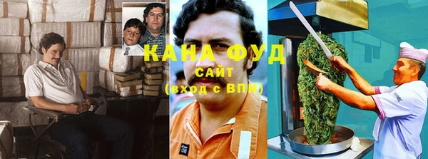молекула духа Ладушкин